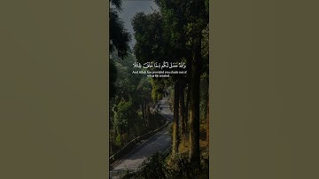 #قران_كريم #تلاوة_خاشعة #صلوا_على_النبي #اكسبلور_explore #راحة_نفسية