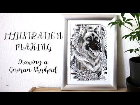 ILLUSTRATION MAKING】 German Shepherd 【イラストメイキング