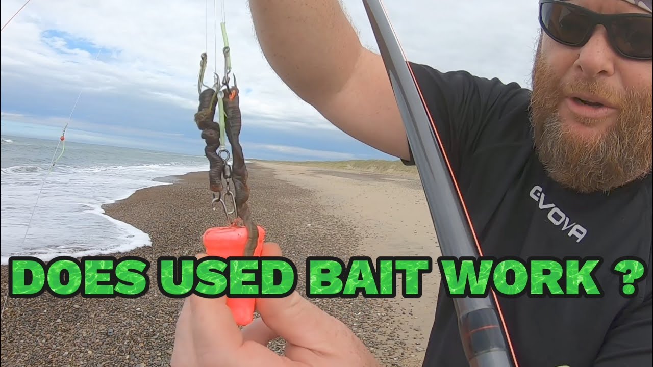 Billyfishing! Answering all the big questions, - does used bait catch? 