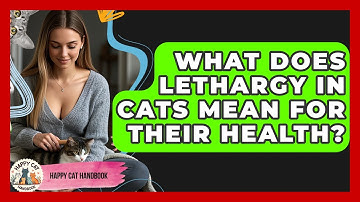 What Does Lethargy In Cats Mean For Their Health? - Happy Cat Handbook