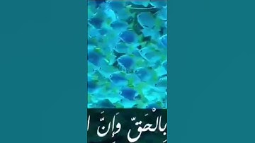 وما خلقنا السماوات والأرض وما بينهما إلا بالحق، تلاوة خاشعة للقارئ هزاع البلوشي