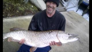Famous River Thames Pike Record 2011 Colin House 34lb 2oz Fishing Net Worth