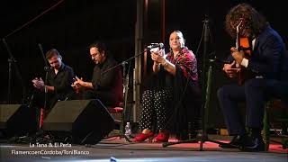 La Tana, Festival Flamenco de Patios de Córdoba