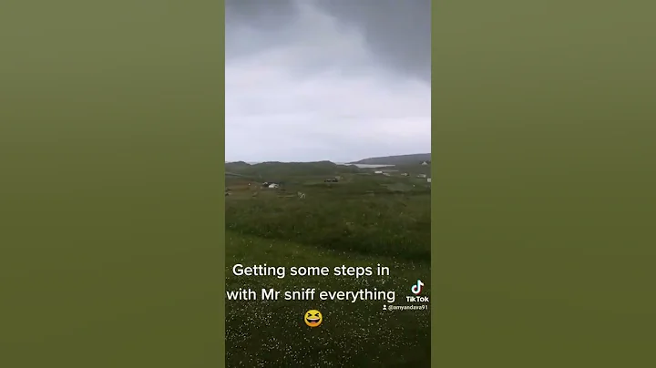living on a campsite