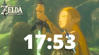 Breath of the Wild Early Master Sword in 17:53 [PB]