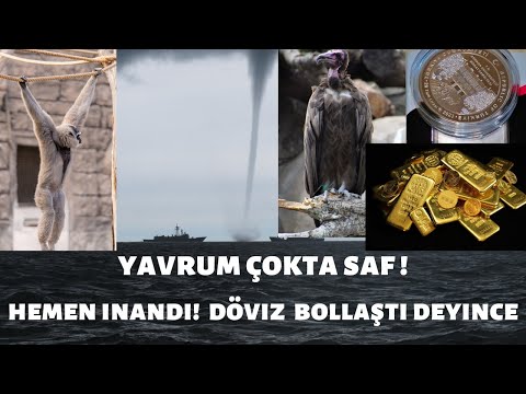 Yarın Bir TAKSİM Beş  (1/5)  Altın ve Piyasalarda Sert Hareketler