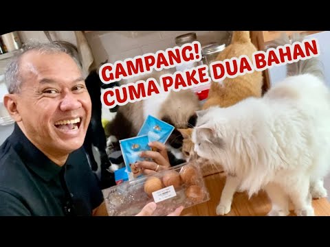 Video: Cara Membuat Susu Formula Pengganti untuk Anak Anjing