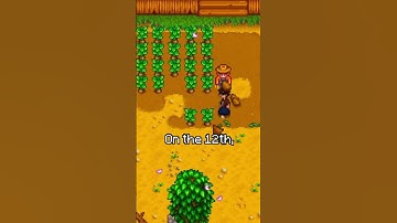 Speedrunning A Random Stardew Item Part 47! #stardew #shorts