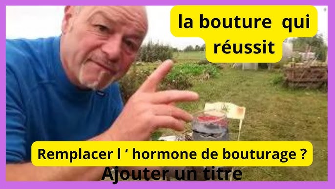 Comment faire son hormone de bouturage maison ? - Mon Coach Jardin