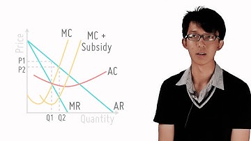 Subsidies To Correct Monopoly Output