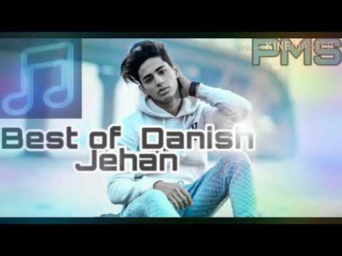 BEST OF DANISH ZEHAN MP3 SONG  PARAS MUSIC SERIES