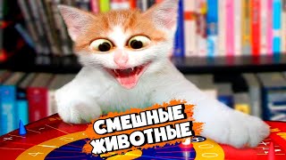 СМЕШНЫЕ ЖИВОТНЫЕ | ЛУЧШИЕ ПРИКОЛЫ С ЖИВОТНЫМИ | ПРИКОЛЫ ТИК ТОК