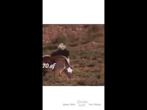 وقتي اللي حطني