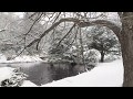 8 hours of Snow Falling on Lake (No Music) Relaxing, Sleeping, Meditation, Studying, Baby to Sleep