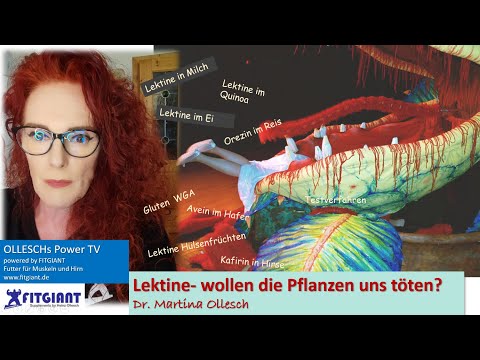 Video: Wie man Nachtschatten im Garten tötet