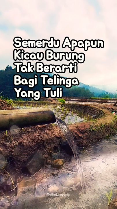 No matter how melodious the birds chirp #selfadvice #lifemotivation #quotes #wisewords #ogifinlae...