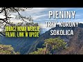 Pieniny (Krościenko - Trzy Korony - Sokolica) Góry z dzieckiem 03.2019