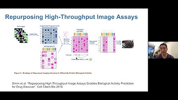 Juan Caicedo - TorBUG Talk - Image-based cell phenotyping with deep learning