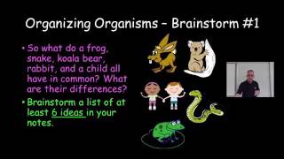 Branching Diagrams 1 of 4