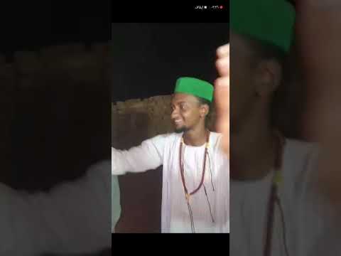 المدينة الفيها النبي اداء ابناء الشريف ابو القاسم الشنقيطي