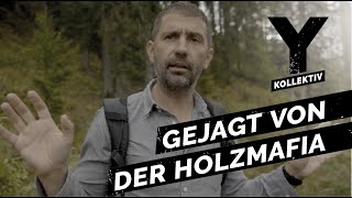 Die Holzmafia Ist Hinter Mir Her Milliardengeschäft Illegaler Holzhandel Y-Kollektiv