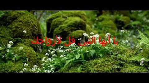 ان الله وملائكته يصلون على النبي - تلاوة عذبة