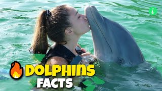 Dolphin: Top 10 Fascinating Facts About Dolphins You May Did Not Know | Dolphin Facts | Info Hifi