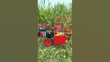 Hand-pushed self-propelled single row corn harvester small corn harvester for farm