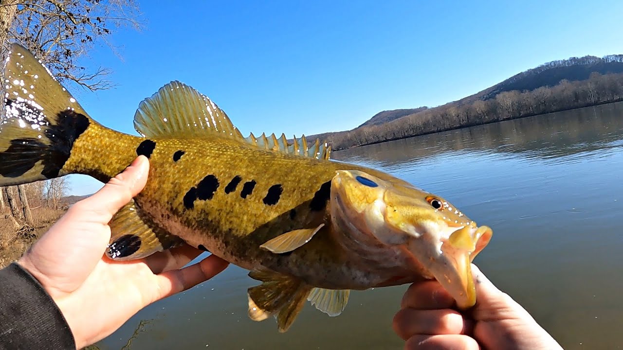 BLOTCHY BASS/FISHING NEW AREAS/SUSQUEHANNA RIVER!!!(BANK FISHING)