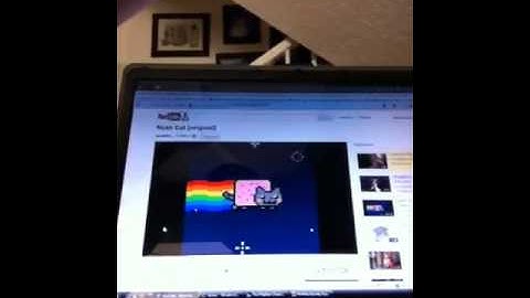 Nyan cat (reaction video?)