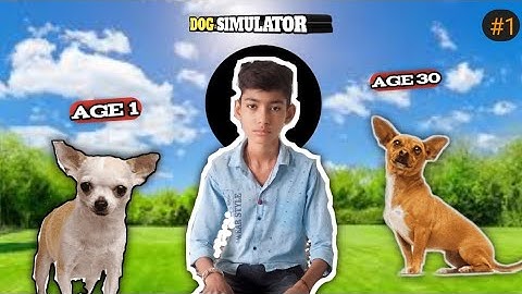 DOG LIFE SIMULATOR IS SUPER FUN!