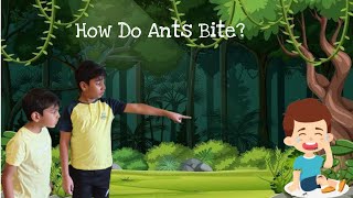 How An Ant Actually Stings you| |How Do Ants Bite | Fire Ants and Bullet Ants