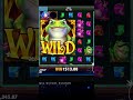 Wild Hop &amp; Drop Slot Paying The Cheese!  #slots #gambling #lowstakes
