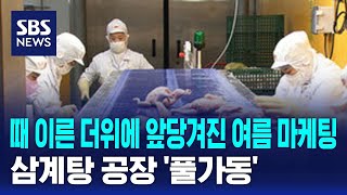 때 이른 더위에 앞당겨진 여름 마케팅…삼계탕 공장 '풀가동' / SBS