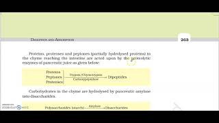 digestion and absorption reading part 2