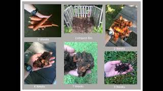Backyard Composting Basics, 4.13.21