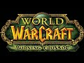 World of warcraft: The burning crusade! Прокачка с 61 по 63 уровень и походы в подземелья!