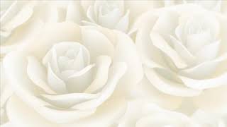 Белые розы(футаж 2)___СМОТРИМ  И СКАЧИВАЕМ ПО ССЫЛКАМ В ОПИСАНИИ ПОД ВИДЕО