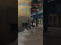 #callofduty  #mw3 #mw3gameplay  ##gamergirl #pcgaming  #cod  #codgameplay