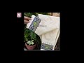 Different design AR/beautiful design 2023/new summer trouser design/#top20 #2023 #woman #eidspecial