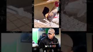 Nefesi Iyi Kontrol Etmek Lazım 🤣