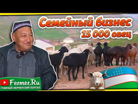Потомственный овцевод. Тысячи