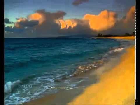 ბექა გელენავა