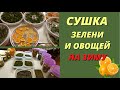 Сушка овощей и зелени.Заготовки на зиму. @SubTatiana LIFEVLOG