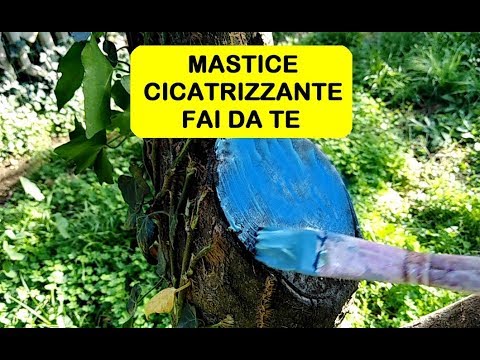 Video: Mastice MGKP: Caratteristiche Del Mastice Sigillante Per Attraversamenti Di Cavi, Proprietà Ignifughe E Altre Proprietà, Come Usare