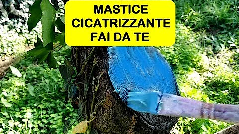Dove comprare il mastice?