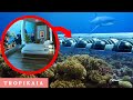 FIJI UNDERWATER HOTEL: Is The Poseidon Undersea Resort Real?