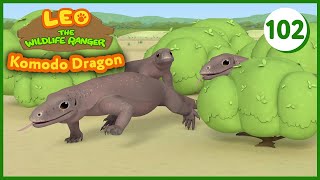 The Komodo Dragon  Leo The Wildlife Ranger (Episode 102)