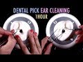 ASMR. 1 Hour of Ear Cleaning w/Dental Pick & Tweezers (No Talking)