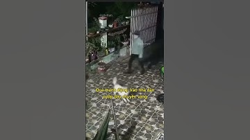 Vào tận nhà dân cướp dây chuyền vàng #tintuc #tinnong #cuopgiat #cuoptaisan #tromcuop #toipham